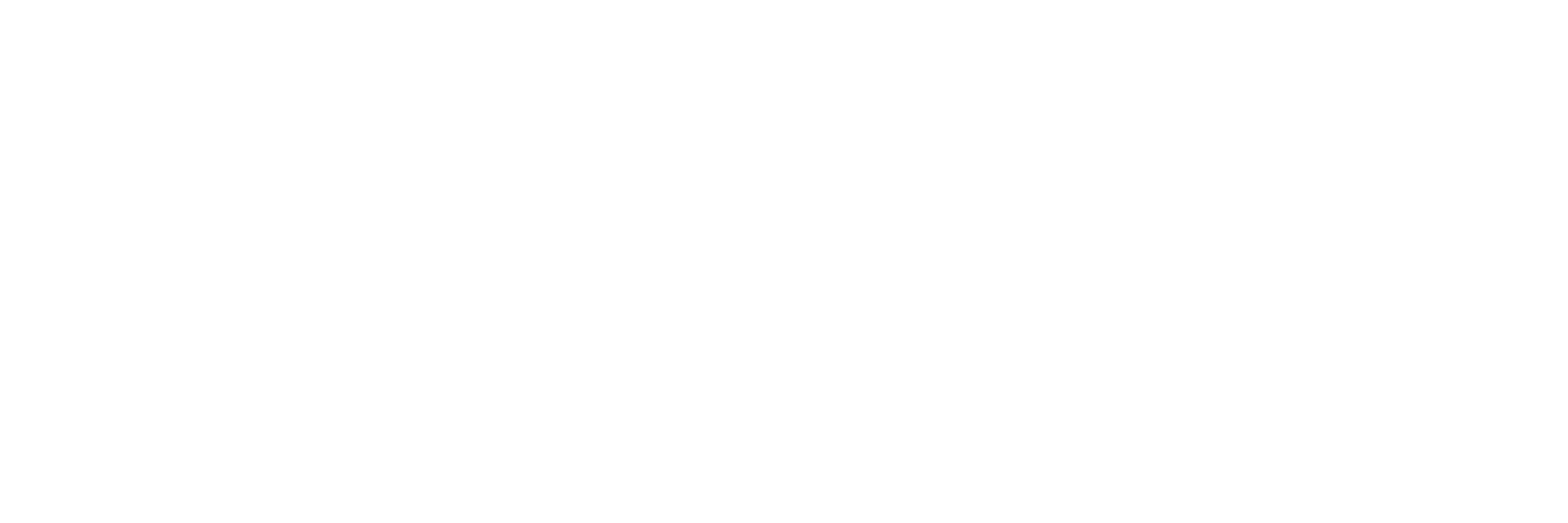 light logo